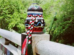 -西双版纳原始森林公园