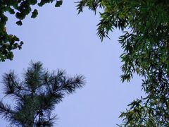 -西安大兴善寺