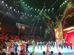 -珠海横琴长隆《卡卡虎奇遇记》