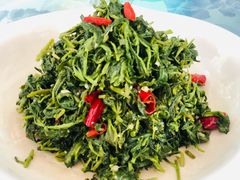 养生枸杞苗-老毛手抓·盐池滩羊非遗手抓(宁夏总店)
