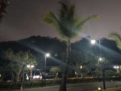 -野狸岛