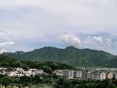 -龙泉青瓷博物馆