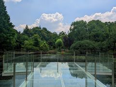 -月湖风景区
