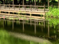 -东湖落雁景区