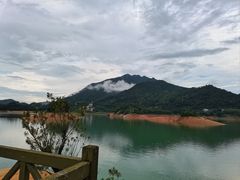 -广州市流溪河国家森林公园