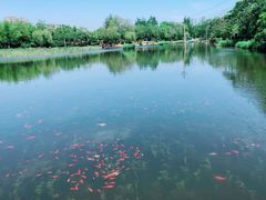 -前关湿地公园