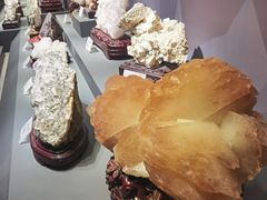 -湖南省地质博物馆