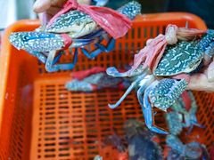 -巽寮印象美食部落餐厅·海鲜·地方特色菜(惠州体验店)
