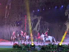 -灵玲国际马戏城