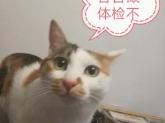 -莘程宠物医院(金山店)