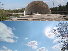 -上海吴淞炮台湾国家湿地公园