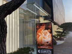 -罗红摄影艺术馆