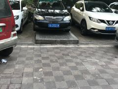 -江湖黑大兔(杨家坪店)