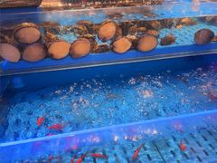 -海底捞火锅(长宁路龙之梦店)