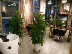 -美格丝M.G.S Hair Salon