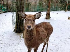 -武陵山森林公园