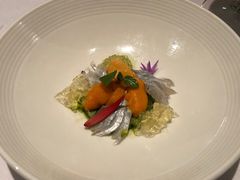 -蝶舍·MAISON PAPILLON