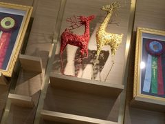 -悠尼宠物·独立低压伊珊娜洗护·美容·寄养(兰谷路店)