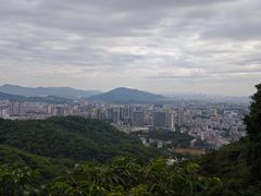 -火炉山森林公园