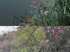 -重庆彩云湖湿地公园