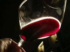 -葡萄集|滋味新疆菜·精酿酒馆(瑞豪酒店)