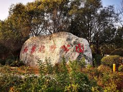 -西青郊野公园