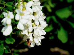 -龙口南山旅游景区