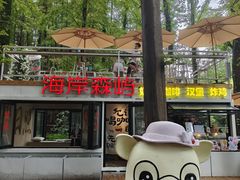 -日照海滨国家森林公园