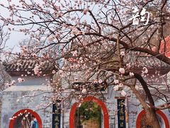-圣莲山风景区