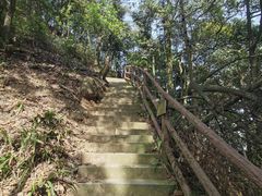 -缙云山景区