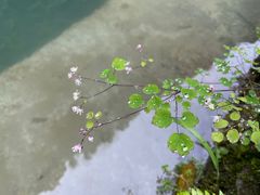-狮子关旅游区