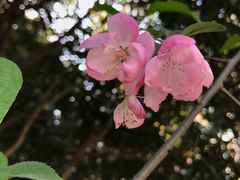 -西北湖绿化广场