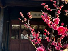 -慈城古县城景区