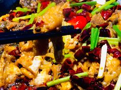 -老板恋上鱼(恒隆广场店)