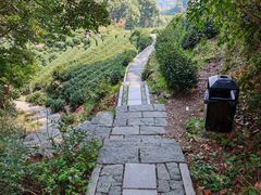-十八棵（老龙井）御茶园(老龙井店)