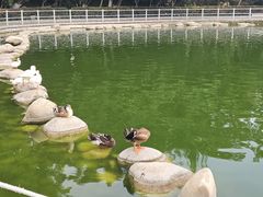-莲湖公园