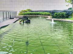 -行者书屋大堂吧 ·下午茶(南京圣和府邸酒店)