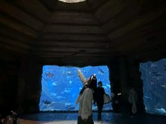 -郑州银基国际旅游度假区