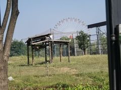 -济南野生动物世界
