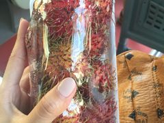 -芽庄中心购物广场