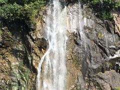 -上海辰山植物园
