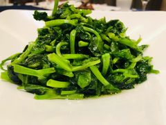 炒豆苗-新加坡泰国村酒楼(五角场店)