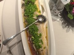 白鱼-蘇锦宴·淮扬菜烤鸭·小院(三元桥霄云路店)