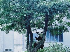-柳州市动物园