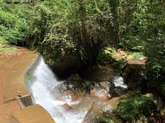 -中国大熊猫保护研究中心雅安碧峰峡基地