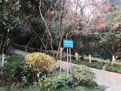 -杭州半山国家森林公园