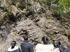 -西岭雪山大飞水景区