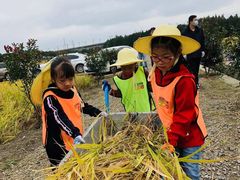 -金色雨林·专注力情商思维感统(海岸城八方汇中心)
