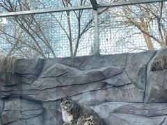 -青藏高原野生动物园