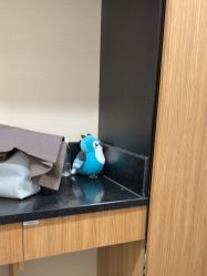 -上海玫瑰医疗美容医院